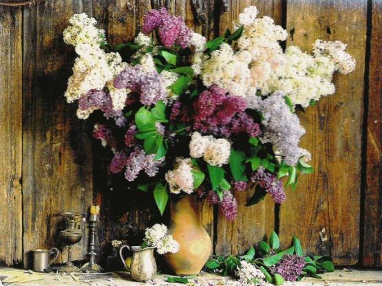 le vase de lilas1.jpg