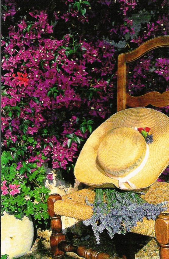 le repos.jpg