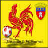Les  Feminines du Royal Football Club Tournai