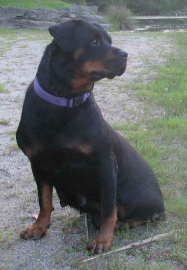 Ruth (la m�re)
