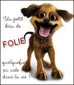 folie.jpg