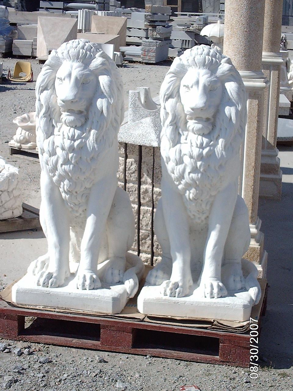 imag0569-fa154.jpg