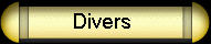 Divers
