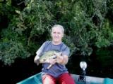 BLACK-BASS