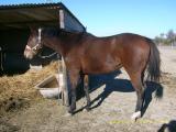 Album par d�faut