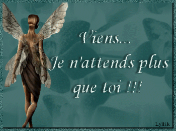 fee11-vuuel.gif
