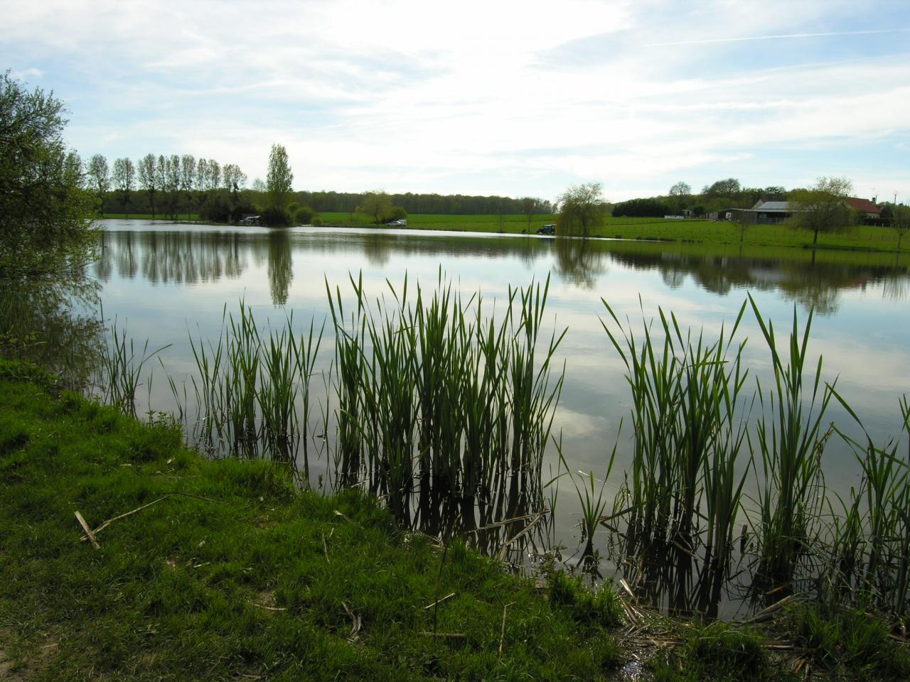 Etang du Crotz Etang du Crotz
