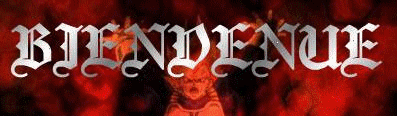 >>>THE OFFICIAL SITE DRAGON91-NC<<<
