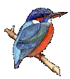 Martin-p&ecirc;cheur