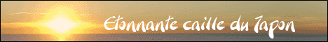 Etonnante caille du Japon