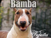 Bamba
