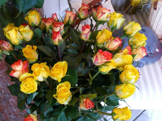 K'ameli'A -Fleurs