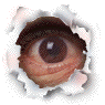 VIDEOS HUMOUR