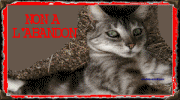 non a l'abandon