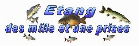 Etang des mille et une prises � Chemilly sur Yonne (89)