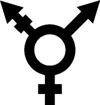 TRANSMAG