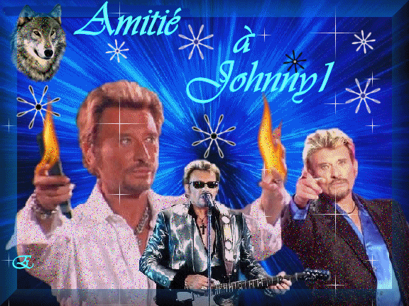 johnny hallyday
