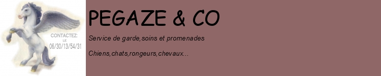 pegaze &amp; co / chevaux et partage