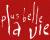 Plus belle la vie