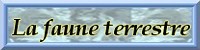 LA FAUNE TERRESTRE