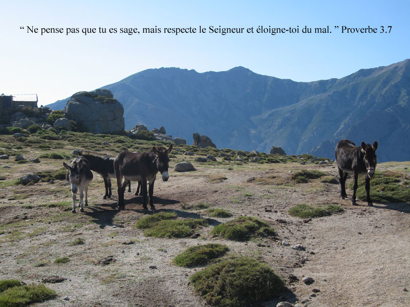 Plateau d'Alzu