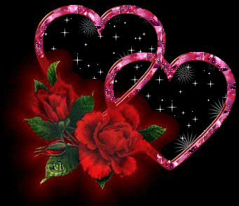roses roses