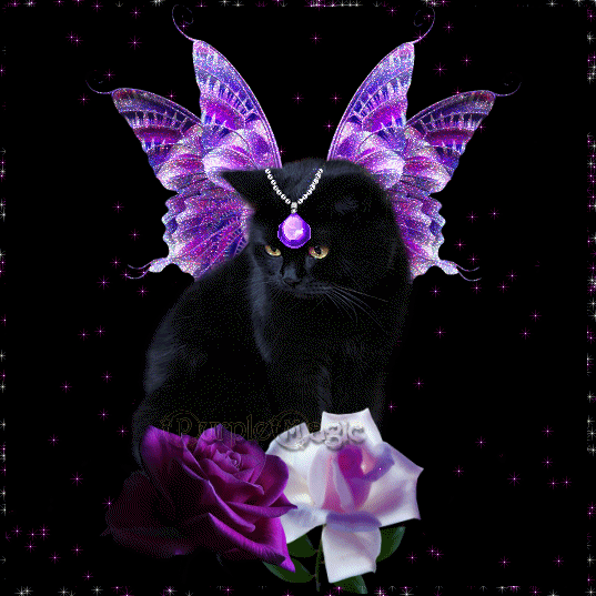 Chat Chat
