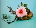 D�coration florale