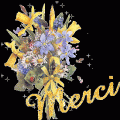 Les tags anim�s