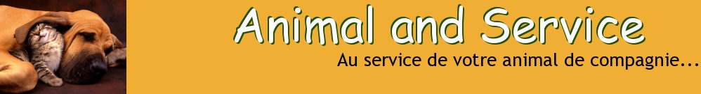 - Animal and Service -