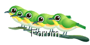 LE FORUM DU MOIS*