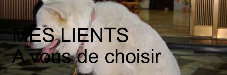 POUR CEUT QUI AIME SURFE