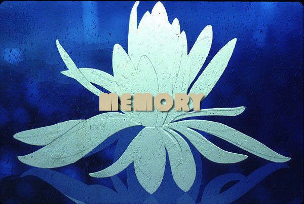 MEMORY