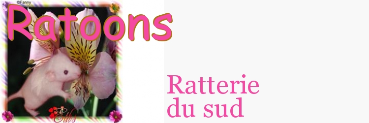 Ratoons