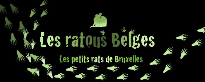  les rats tous Belges