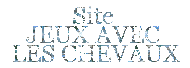 JEUX AVEC LES CHEVAUX