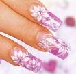 KNAILS infos