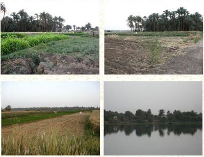 Land for sale near the Nile