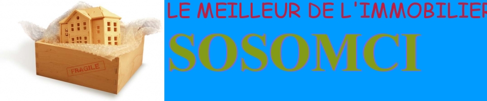 LE PLUS GRAND SITE DE L'IMMOBILIER