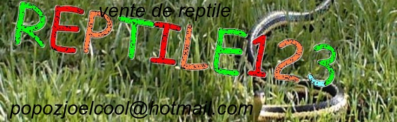 les reptile