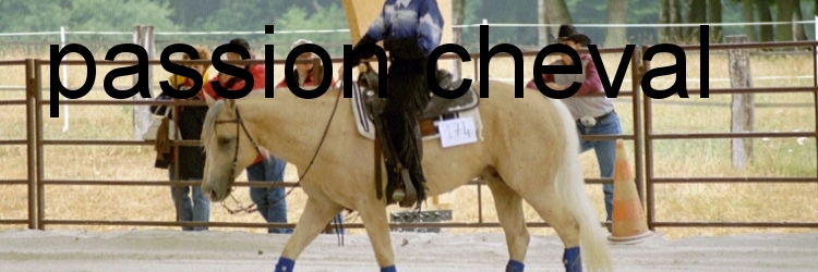 passions poney