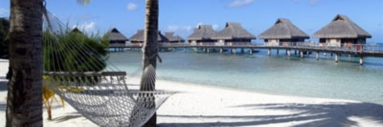 le site de charlene