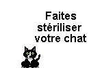 ACCUEIL