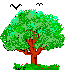 La nature