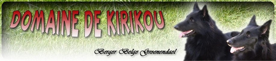 élevage du domaine de kirikou