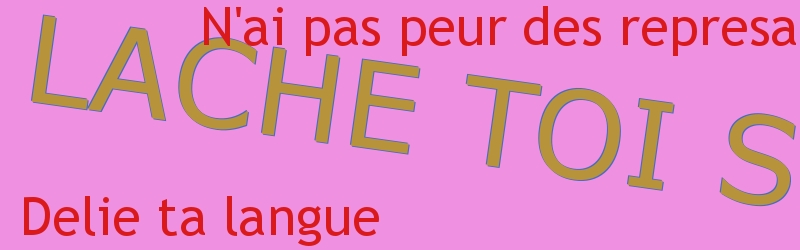 LE DEFOULOIR