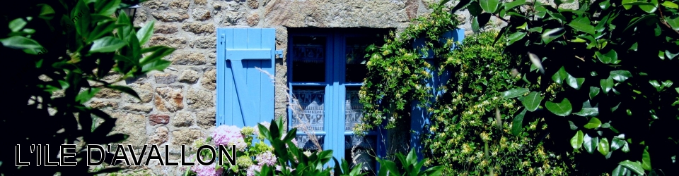Location saisonnière appartement 3 pièces bord de mer morbihan