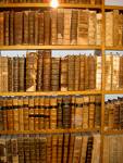 les bons plans