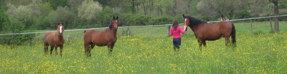 Elevage de Pons
