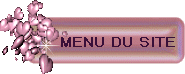 MENU DU SITE